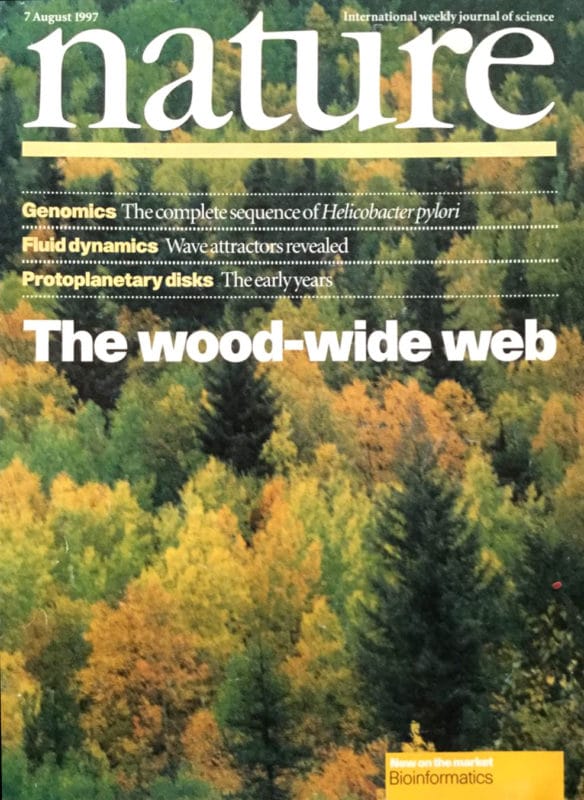 Cover of the 1997 journal on Nature where the term "wood wide web" was coined in reference to Suzanne Simard's paper