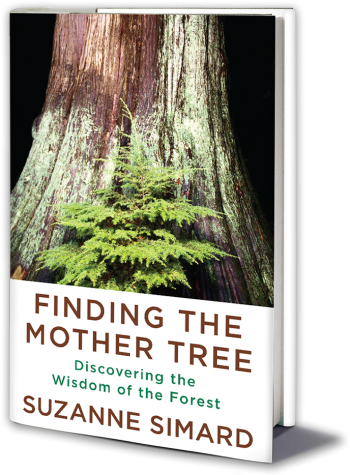 Book Cover - Finding the Mother Tree by Suzanne Simard