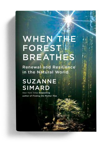 when-the-forest-breathes_suzanne-simard_book-jacket when-the-forest-breathes_suzanne-simard_book-jacket